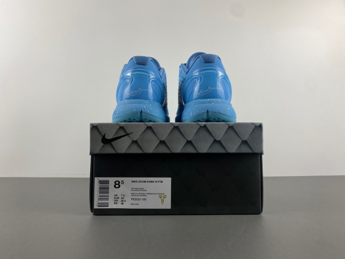ZOOM KOBE 6 PE2023-100